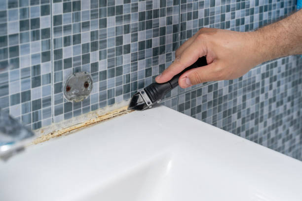 Reliable River Grove, IL Mold Removal Solutions