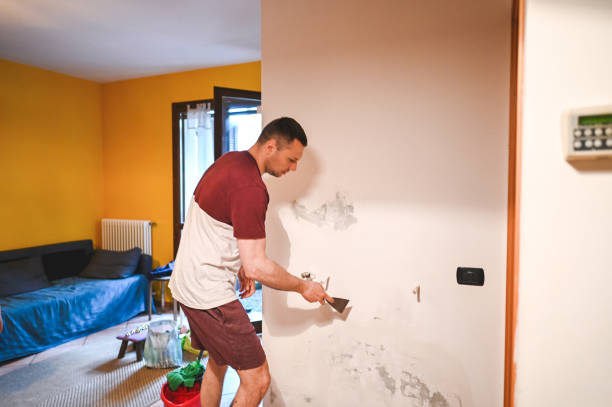 Best Home Mold Removal  in River Grove, IL